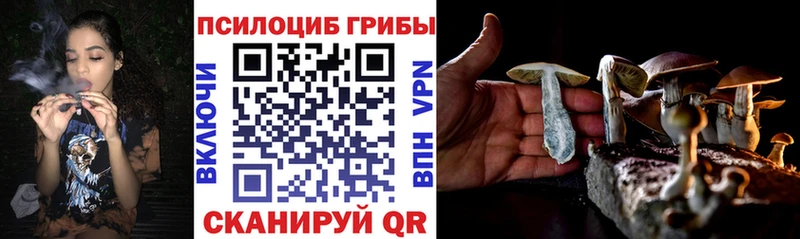 Галлюциногенные грибы прущие грибы наркота Светлоград