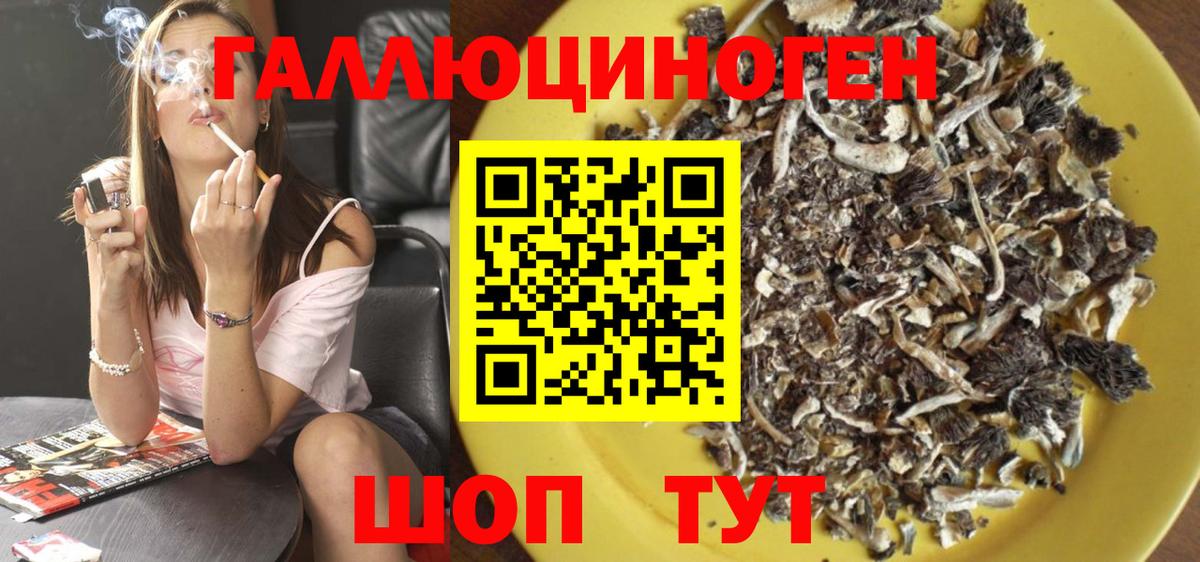 Псилоцибиновые грибы Psilocybe Светлоград