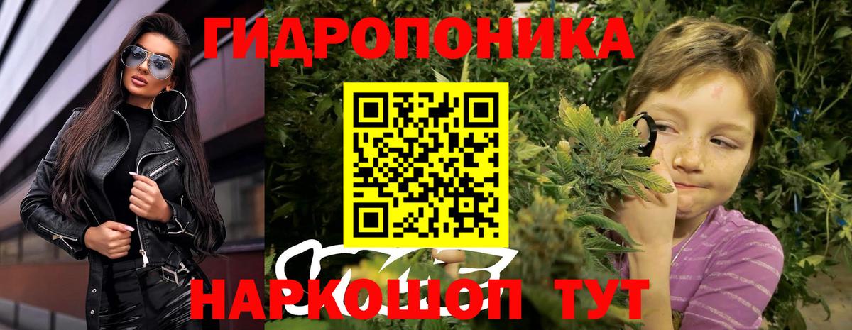 Марихуана план  Бошки Шишки план  Светлоград  МАРИХУАНА план  Вход с VPN 